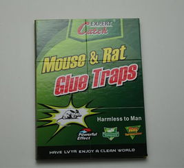 高效環(huán)保，廠家直銷——義烏綠亞環(huán)保粘鼠膠系列產品